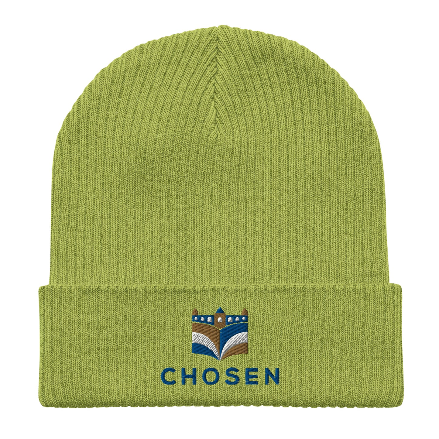Chosen Beanie