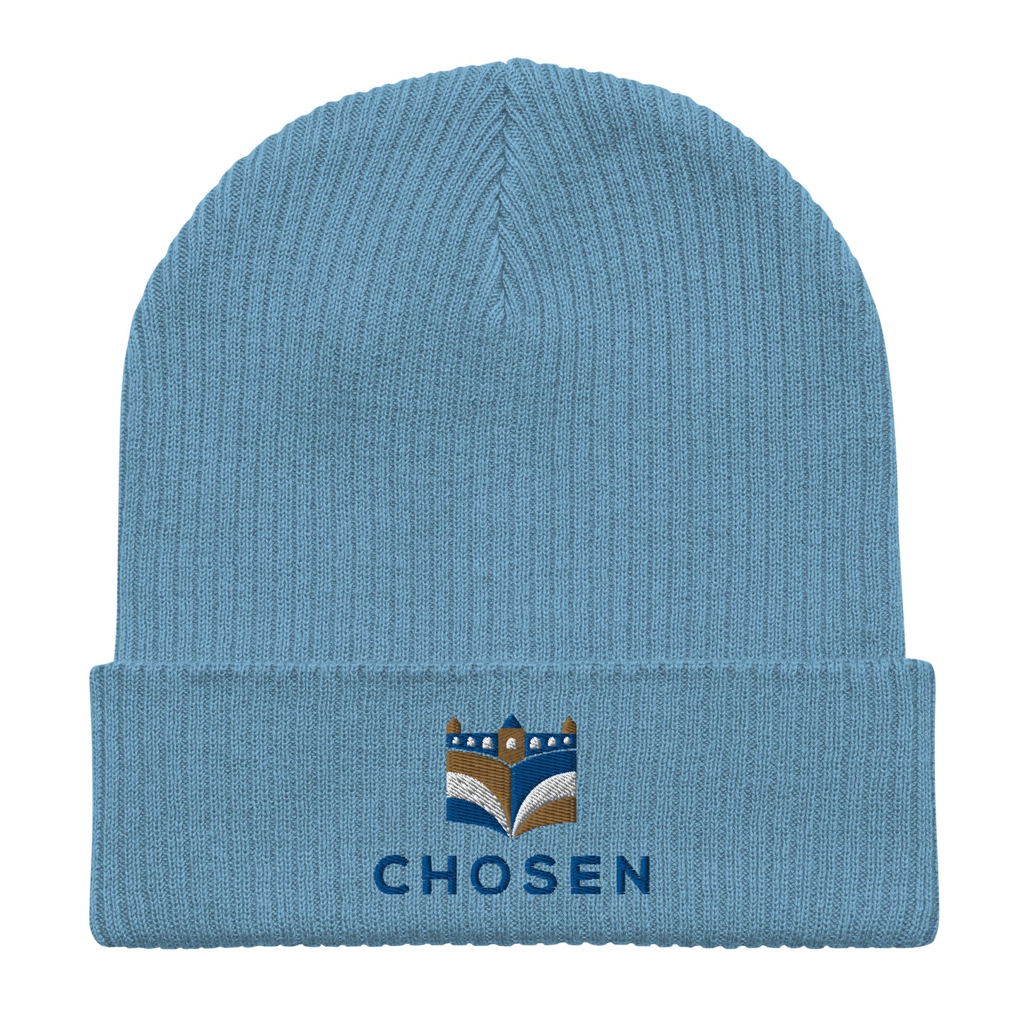 Chosen Beanie