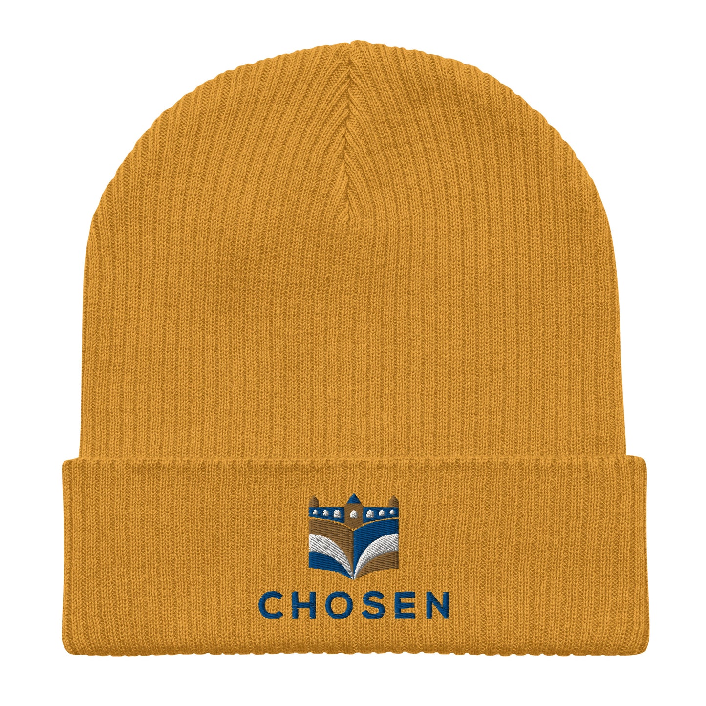 Chosen Beanie